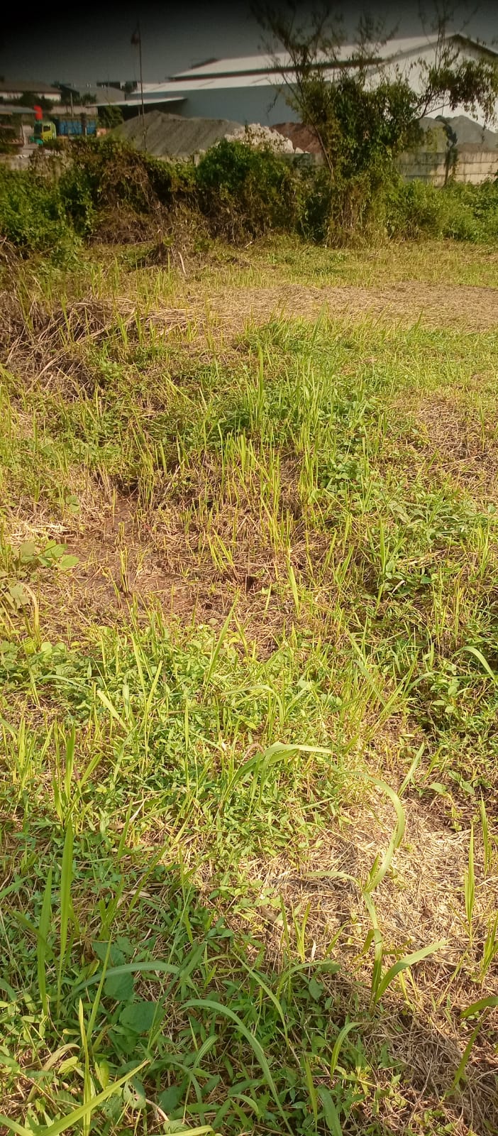 Area pemakaman