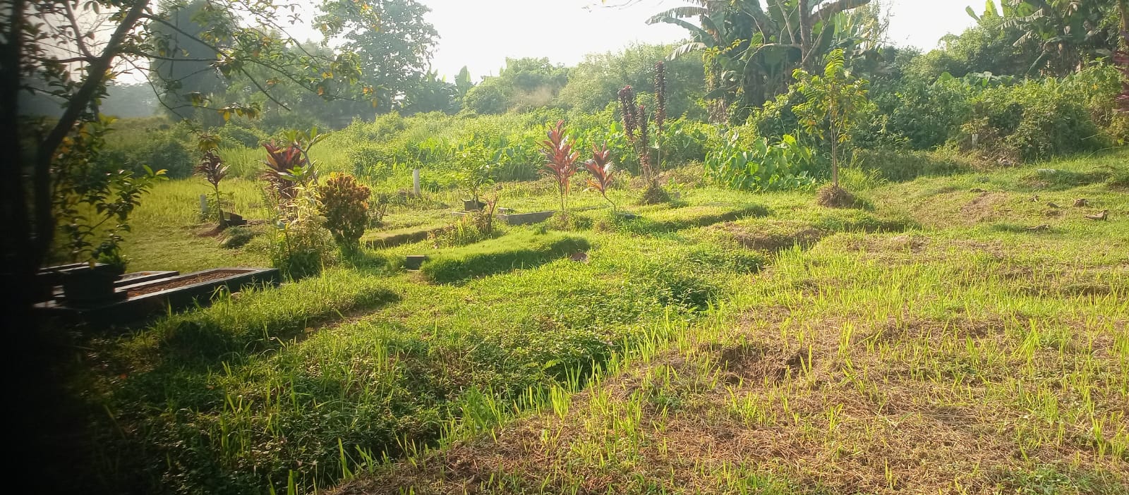 Lingkungan hijau